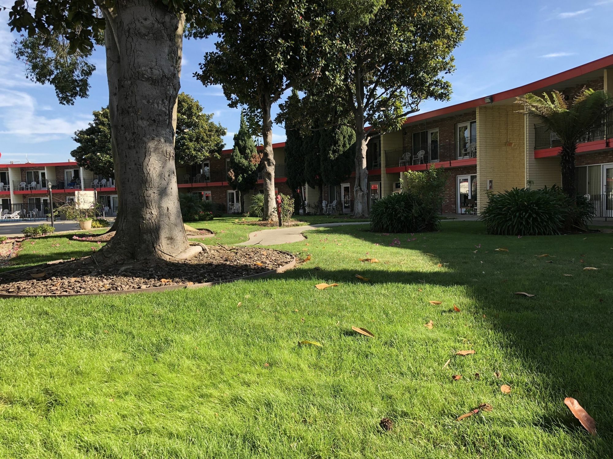 Econo Lodge Inn & Suites Oakland Airport Экстерьер фото